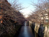 目黒川
